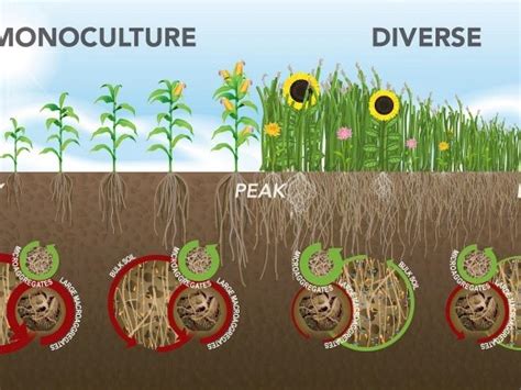 explain how soil composition is affected by environmental factors.