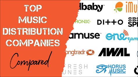 What Is a Music Distributor: A Comprehensive Exploration of Their Role and Functions